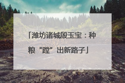 潍坊诸城殷玉宝：种粮“蹚”出新路子