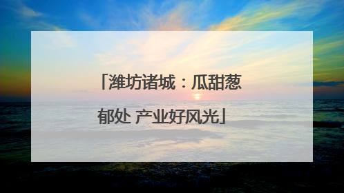 潍坊诸城：瓜甜葱郁处 产业好风光