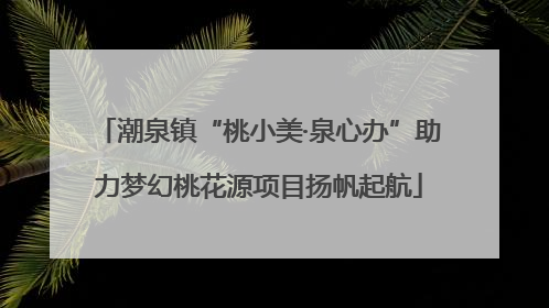 潮泉镇“桃小美·泉心办”助力梦幻桃花源项目扬帆起航
