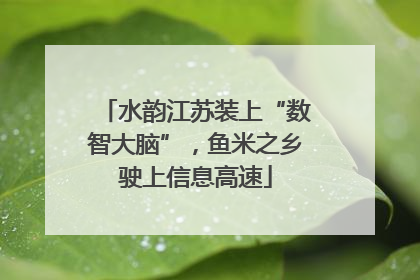 水韵江苏装上“数智大脑”，鱼米之乡驶上信息高速