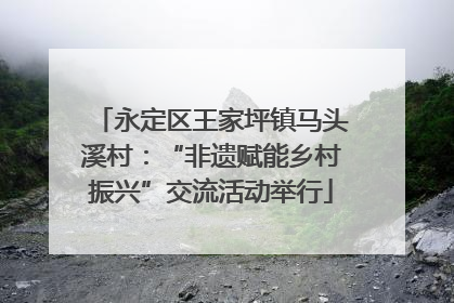 永定区王家坪镇马头溪村：“非遗赋能乡村振兴”交流活动举行