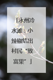 永州冷水滩：小辣椒结出村民“致富果”