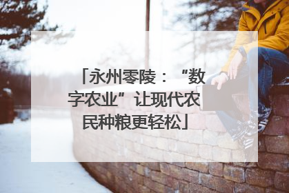 永州零陵：“数字农业”让现代农民种粮更轻松