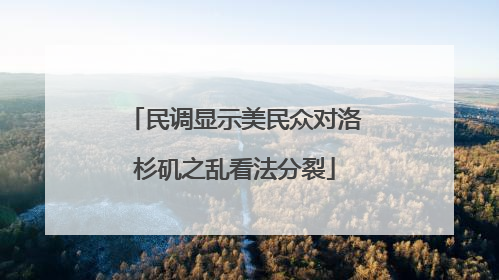 民调显示美民众对洛杉矶之乱看法分裂
