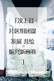 汶上县：片区组团谋发展 共绘振兴新画卷