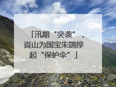 汛期“突袭”，崀山为国宝朱鹮撑起“保护伞”