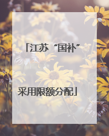 江苏“国补”采用限额分配