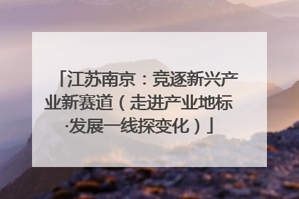 江苏南京：竞逐新兴产业新赛道（走进产业地标·发展一线探变化）
