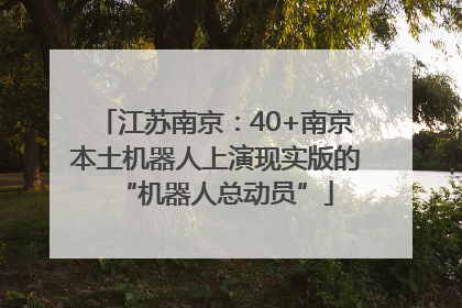 江苏南京：40+南京本土机器人上演现实版的“机器人总动员”