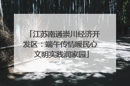 江苏南通崇川经济开发区：端午传情暖民心 文明实践润家园