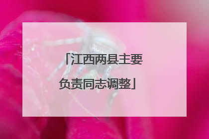 江西两县主要负责同志调整
