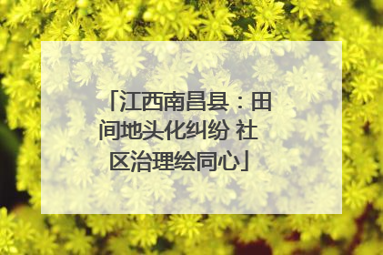 江西南昌县：田间地头化纠纷 社区治理绘同心