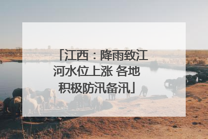 江西：降雨致江河水位上涨 各地积极防汛备汛
