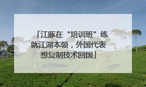 江豚在“培训班”练就江湖本领，外国代表想复制技术回国