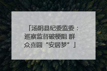 汤阴县纪委监委：巡察监督破梗阻 群众喜圆“安居梦”