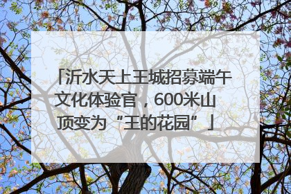 沂水天上王城招募端午文化体验官，600米山顶变为“王的花园”