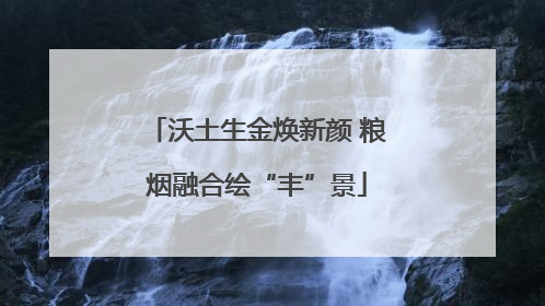 沃土生金焕新颜 粮烟融合绘“丰”景