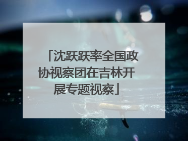 沈跃跃率全国政协视察团在吉林开展专题视察