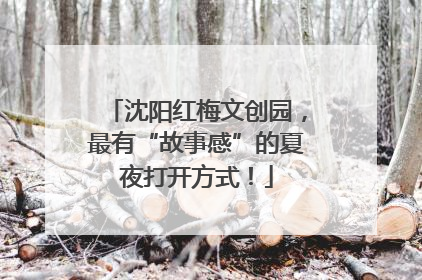 沈阳红梅文创园，最有“故事感”的夏夜打开方式！