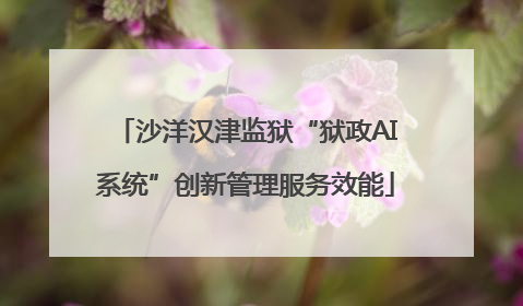 沙洋汉津监狱“狱政AI系统”创新管理服务效能