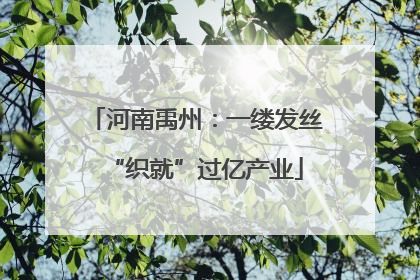 河南禹州：一缕发丝“织就”过亿产业
