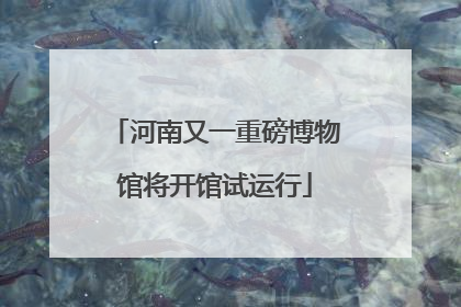 河南又一重磅博物馆将开馆试运行