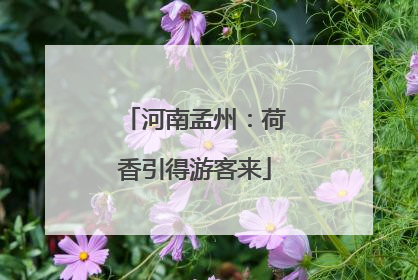 河南孟州：荷香引得游客来