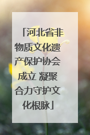 河北省非物质文化遗产保护协会成立 凝聚合力守护文化根脉