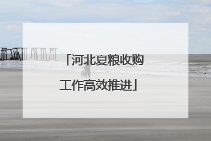 河北夏粮收购工作高效推进