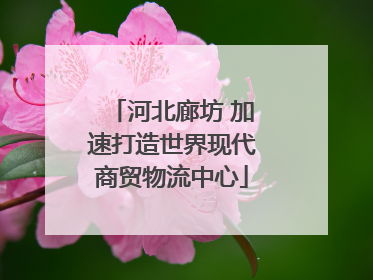 河北廊坊 加速打造世界现代商贸物流中心