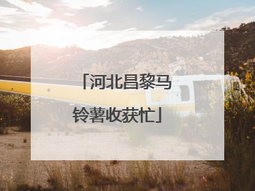 河北昌黎马铃薯收获忙
