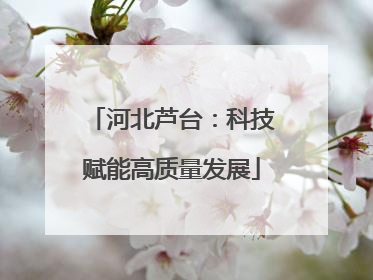 河北芦台：科技赋能高质量发展