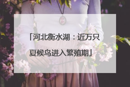 河北衡水湖：近万只夏候鸟进入繁殖期