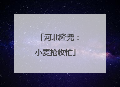 河北隆尧：小麦抢收忙