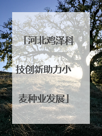河北鸡泽科技创新助力小麦种业发展
