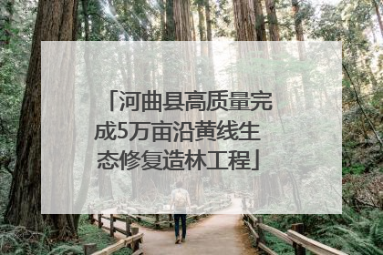 河曲县高质量完成5万亩沿黄线生态修复造林工程