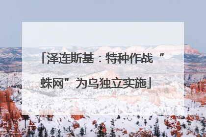 泽连斯基：特种作战“蛛网”为乌独立实施