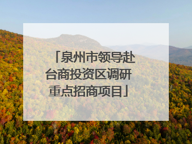 泉州市领导赴台商投资区调研重点招商项目