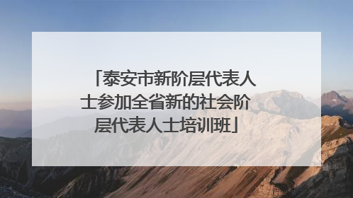 泰安市新阶层代表人士参加全省新的社会阶层代表人士培训班