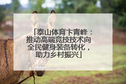泰山体育卞青峰：推动高端竞技技术向全民健身装备转化，助力乡村振兴