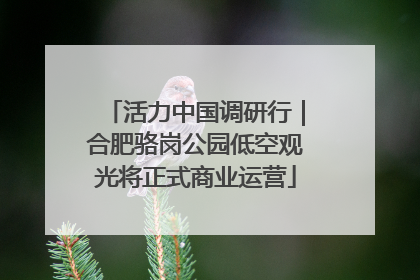 活力中国调研行｜合肥骆岗公园低空观光将正式商业运营