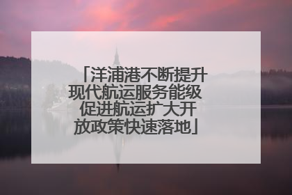 洋浦港不断提升现代航运服务能级 促进航运扩大开放政策快速落地
