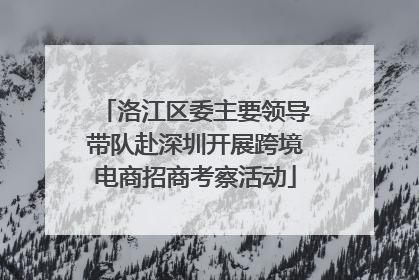 洛江区委主要领导带队赴深圳开展跨境电商招商考察活动