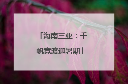 海南三亚：千帆竞渡迎暑期