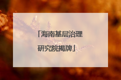 海南基层治理研究院揭牌