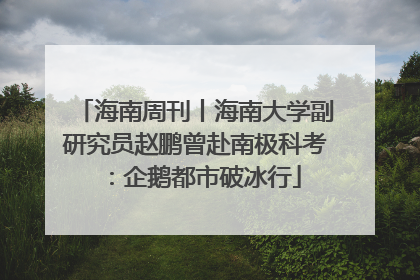 海南周刊丨海南大学副研究员赵鹏曾赴南极科考：企鹅都市破冰行