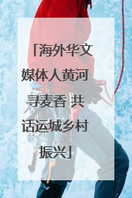 海外华文媒体人黄河寻麦香 共话运城乡村振兴