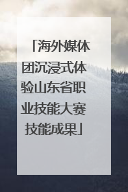 海外媒体团沉浸式体验山东省职业技能大赛技能成果