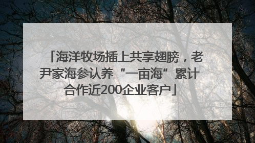 海洋牧场插上共享翅膀，老尹家海参认养“一亩海”累计合作近200企业客户