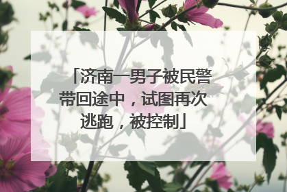 济南一男子被民警带回途中，试图再次逃跑，被控制